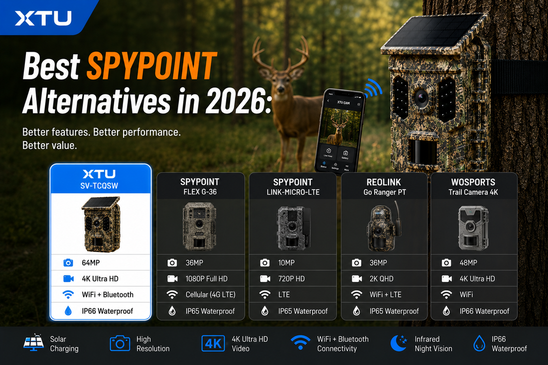 Best SPYPOINT Alternatives in 2026: No Monthly Fees & Better Value