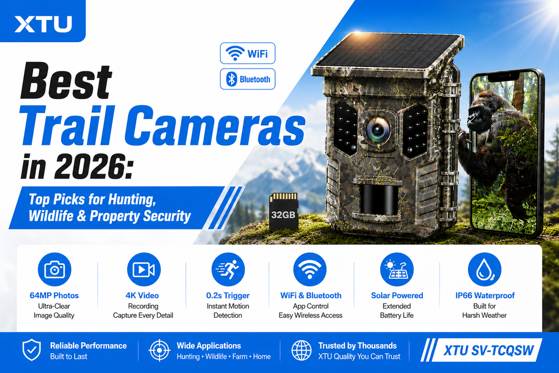 Best Trail Cameras in 2026: Top Picks for Hunting, Wildlife & Property Security