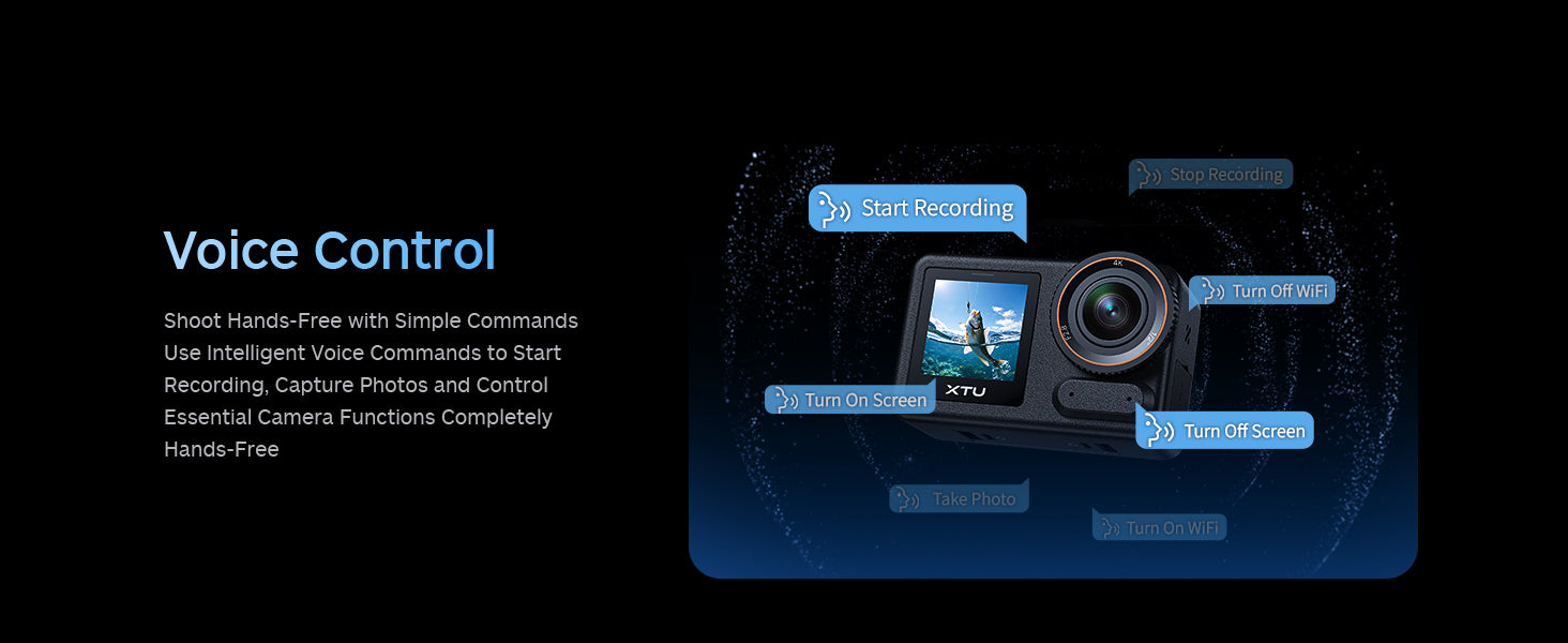 Voice Control