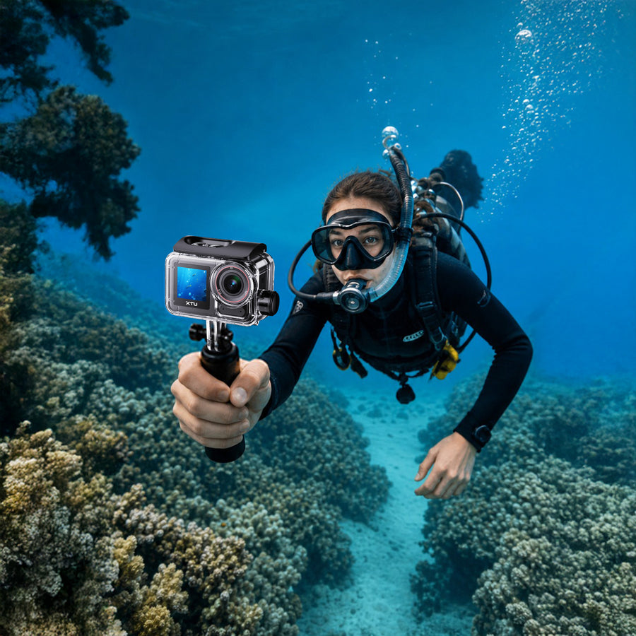 Dive + Snorkel