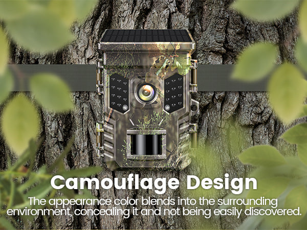 Camouflage Design
