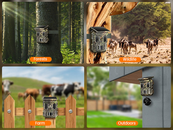 Versatile Outdoor Use