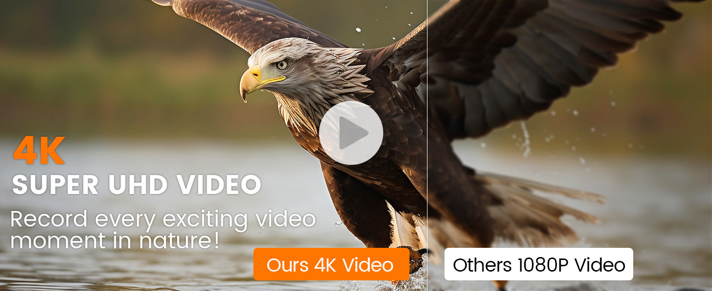 4K Ultra HD Video