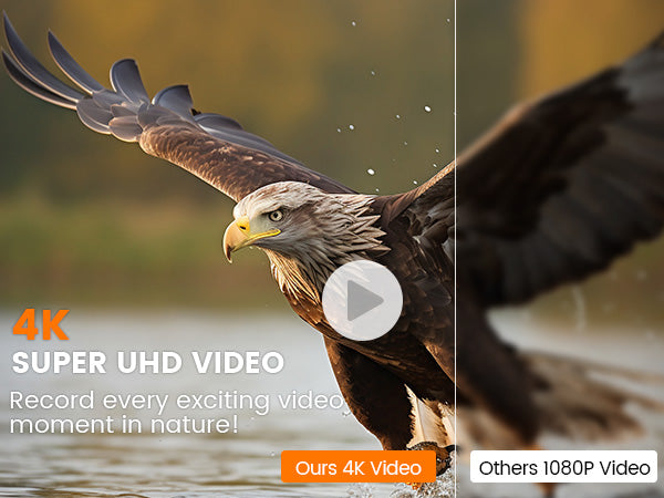 4K Ultra HD Video