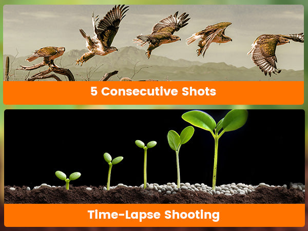 Burst & Time-Lapse