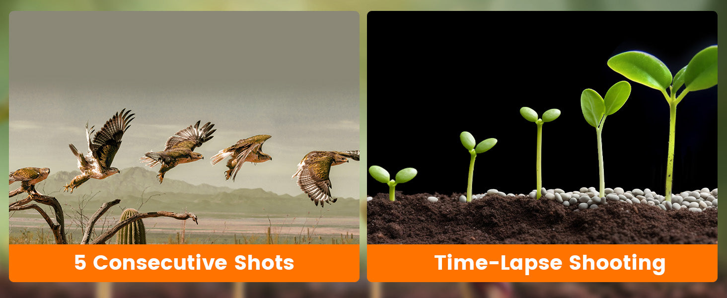 Burst & Time-Lapse
