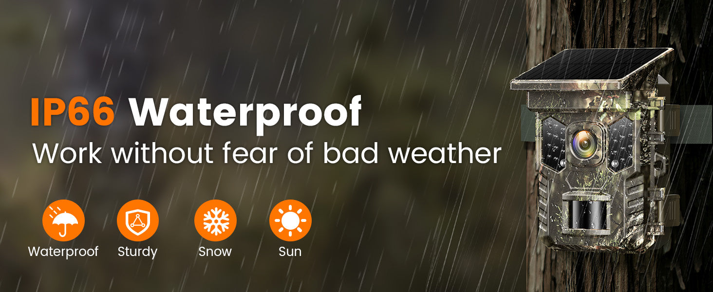 IP66 Weather Protection