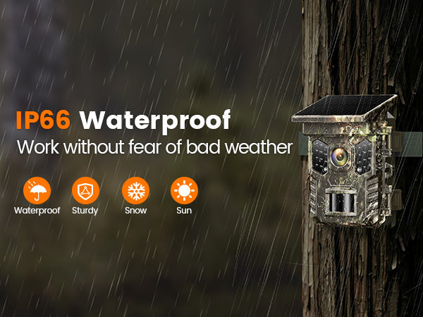 IP66 Weather Protection